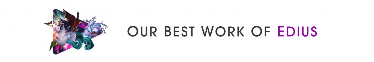 Edius Pro X Edit Zone